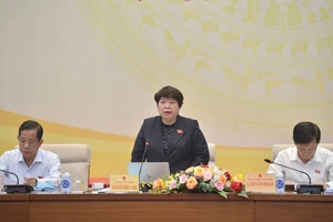 Chủ nhiệm Ủy ban Xã hội Nguyễn Thúy Anh chủ trì phiên họp 
