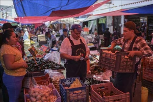 Người dân mua sắm tại một chợ ở Ozumba, Mexico. Ảnh: AFP/TTXVN