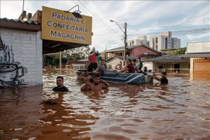 Lực lượng cứu hộ sơ tán người dân khỏi vùng ngập lụt tại Santo Afonso, Novo Hamburgo, Rio Grande do Sul, Brazil, ngày 9-5-2024. Ảnh minh họa: THX/TTXVN