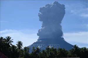 Núi lửa Ibu ở tỉnh Bắc Maluku, Indonesia phun trào ngày 13-5-2024. Ảnh: AFP/TTXVN