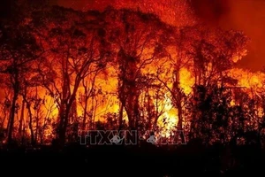 Khói lửa bốc lên từ đám cháy rừng ở bang Mato Grosso do Sul, Brazil. Ảnh: Agência Brasil/TTXVN