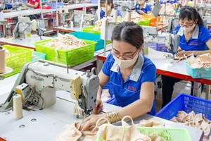 Xây dựng thương hiệu cho hàng Việt - Việc cần làm ngay - Bài 3: Áp lực hàng giả, hàng nhái