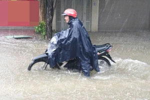 Miền Trung giảm mưa, lũ trên sông Đồng Nai xuống chậm