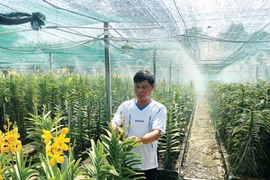 Nhờ mô hình tưới nước tự động, nông dân Tô Tấn Thành có thời gian nhàn rỗi để chăm sóc hoa