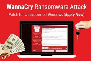 Mục đích tấn công của kẻ phát tán mã độc WannaCry chủ yếu để tống tiền
