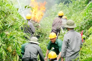 Lực lượng PCCC TPHCM đang diễn tập phòng chống cháy rừng ở huyện Bình Chánh