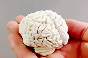 Não người in bằng công nghệ in 3D với chất liệu là chocolate trắng