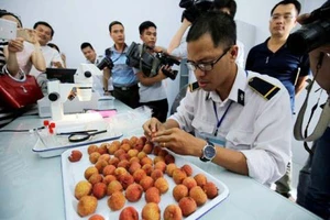 Kiểm dịch trái cây xuất khẩu