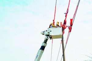 Thi công sửa chữa lưới điện hotline tại Đồng Nai