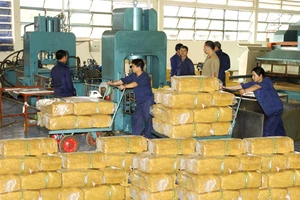  Chuẩn bị cổ phần hóa Tập đoàn Công nghiệp cao su Việt Nam 