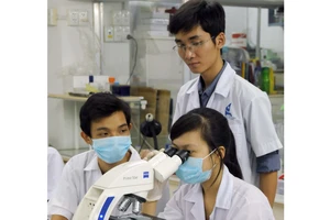 Sinh viên Trường Đại học Khoa học tự nhiện TPHCM thực tập trong phòng thí nghiệm tế bào gốc . Ảnh: MAI HẢI