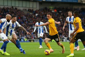 Diogo Jota đi bóng trước hàng thủ Brighton