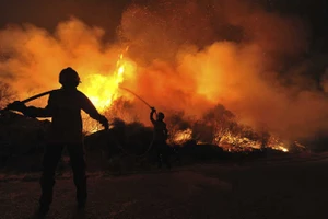 Hiện trường vụ cháy rừng. Ảnh: Tribune India