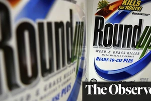 Thành phần glyphosate có trong thuốc diệt cỏ Roundup được tìm thấy trong bánh mì bán tại Anh (Ảnh : The Guardian) 