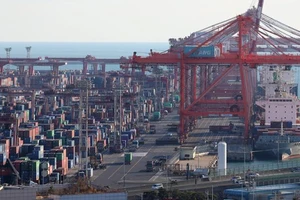 Cảng Busan Sinseondae, Hàn Quốc. Ảnh: YONHAP