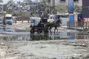 Phát hiện virus gây bệnh bại liệt trong các mẫu nước thải ở Gaza. Ảnh: Guardian