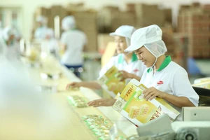 150 doanh nghiệp quốc tế tham gia triển lãm giấy, cao su và nhựa tại Việt Nam 
