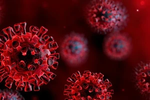 39 trường hợp tiếp xúc gần với chuyên gia Hàn Quốc đều âm tính với virus SARS-CoV-2