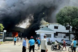 Bình Dương: Cháy rụi nhà xưởng công ty may 