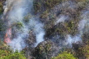 Tây Ninh: Khống chế đám cháy tại khu vực núi Bà Đen