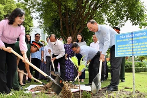 TPHCM trồng cây bàng vuông của quân và dân huyện đảo Trường Sa gửi tặng