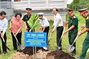 Thêm nhiều cây bàng vuông do cán bộ, chiến sĩ huyện đảo Trường Sa gửi tặng trồng ở TPHCM