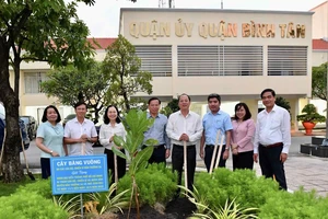Thêm cây bàng vuông từ Trường Sa được trồng tại quận Bình Tân