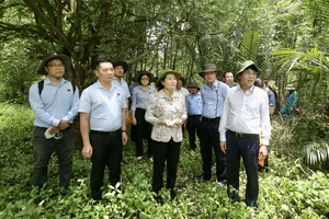 Chủ tịch HĐND TPHCM Nguyễn Thị Lệ khảo sát thực tế khu rừng trồng hoàn trả diện tích giải tỏa tại huyện Cần Giờ