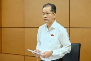 Bí thư Thành ủy TP Đà Nẵng: Thí điểm khu thương mại tự do, nếu rủi ro thành phố gánh chịu