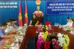 Phó Trưởng đoàn Đại biểu Quốc hội TPHCM Văn Thị Bạch Tuyết phát biểu tại buổi làm việc