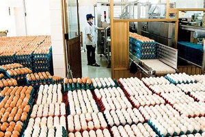 Sẽ không áp dụng hạn ngạch thuế quan nhập khẩu muối và trứng gia cầm có xuất xứ từ các nước ASEAN