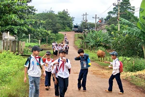 Học sinh đã tham gia bảo hiểm y tế không thể tham gia bảo hiểm y tế theo nhóm hộ gia đình có nhiều người cùng tham gia