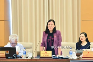 Bà Lê Thị Nga giải thích về điều kiện được đặc xá 