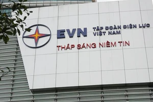 Tập đoàn Điện lực Việt Nam là một trong số các tập đoàn, tổng công ty có số nợ vay từ các ngân hàng thương mại và tổ chức tín dụng tương đối lớn