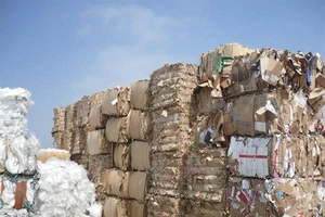 Sản xuất giấy phụ thuộc khá lớn vào phế liệu nhập khẩu 