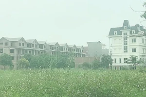 Một khu đô thị mới được đầu tư dang dở, bỏ hoang nhiều năm nay ở huyện Hoài Đức, TP Hà Nội 