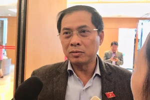 Thứ trưởng Bộ Ngoại giao Nguyễn Thanh Sơn trả lời phỏng vấn sáng 21-11