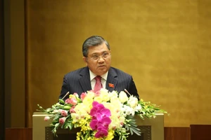 Chủ nhiệm Ủy ban Đối ngoại Nguyễn Văn Giàu cho biết, đa số ý kiến trong cơ quan thẩm tra nhất trí về sự cần thiết gia nhập Công ước số 105