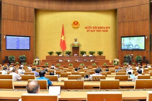 ĐB Cao Thị Xuân (Đắk Lắk) cho rằng Viện Kiểm sát nhân dân là cơ quan chức năng thực hành quyền công tố, không có chức năng nhiệm vụ về giám định tư pháp