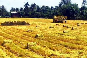 Nông nghiệp được khẳng định vai trò là trụ đỡ của nền kinh tế trong khó khăn
