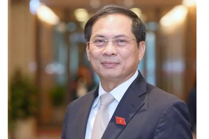 Tân Bộ trưởng Bộ Ngoại giao Bùi Thanh Sơn. Ảnh: QUANG PHÚC 