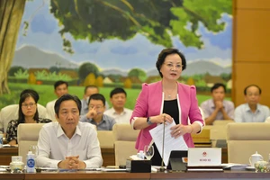 Bộ trưởng Bộ Nội vụ Phạm Thị Thanh Trà trình bày Tờ trình của Chính phủ tại phiên họp của Ủy ban Thường vụ Quốc hội. Ảnh: QUANG PHÚC