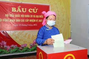 Hà Giang cũng là địa phương có tỷ lệ cử tri đi bỏ phiếu cao. Ảnh: QUANG PHÚC
