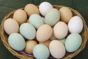 Trứng được tiêu thụ mạnh do… dịch Covid-19 ​