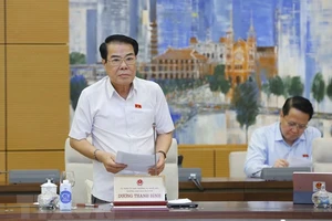 Trưởng Ban Dân nguyện Dương Thanh Bình báo cáo tại phiên họp. Ảnh: TTXVN 