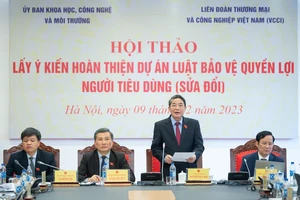 Phó Chủ tịch Quốc hội Nguyễn Đức Hải phát biểu tại hội thảo