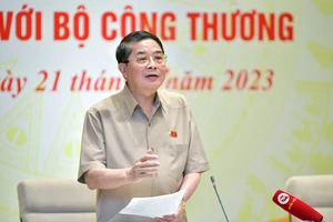 Phó Chủ tịch Quốc hội Nguyễn Đức Hải chủ trì cuộc làm việc