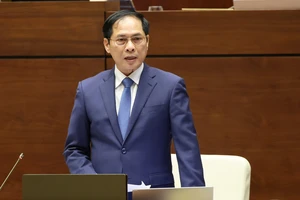 Bộ trưởng Bộ Ngoại giao Bùi Thanh Sơn trả lời chất vấn. Ảnh: QUANG PHÚC