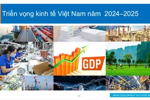 ADB nhận định, kinh tế Việt Nam được kỳ vọng tăng trưởng với nhịp độ vững chắc trong năm nay và năm tới