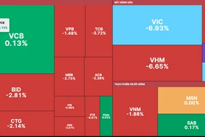 Nhóm cổ phiếu Bluechips giảm mạnh khiến VN-Index giảm gần 20 điểm